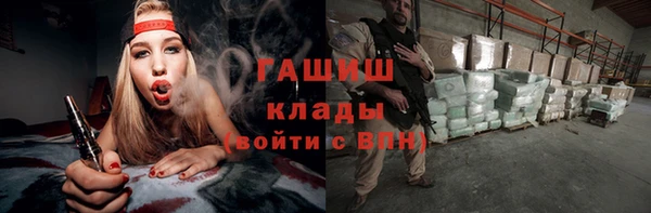 прущие грибы Надым