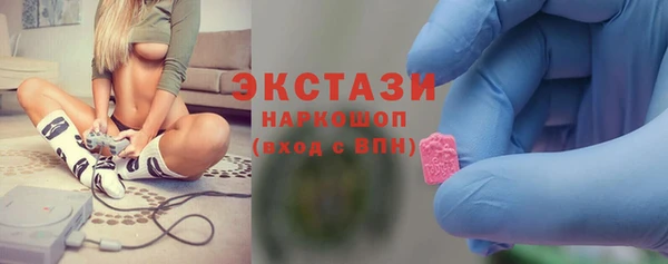 прущие грибы Надым