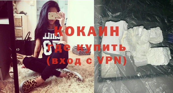 прущие грибы Надым