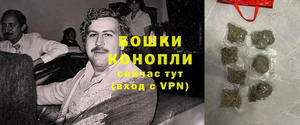 прущие грибы Надым