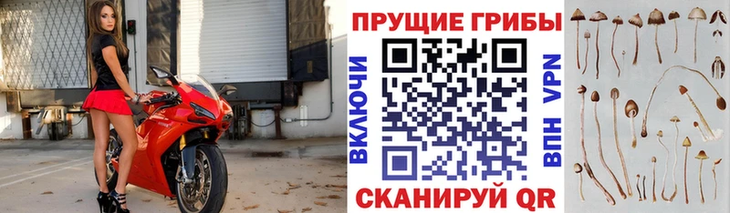 что такое наркотик  Озёры  Псилоцибиновые грибы ЛСД 